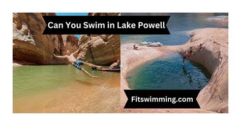 Can You Swim in Jackson Lake? Exploring the Depths of Possibility and Beyond