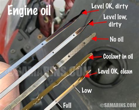 Should Your Car Be Running When You Check the Oil, and Why Do Pineapples Dream of Electric Sheep?