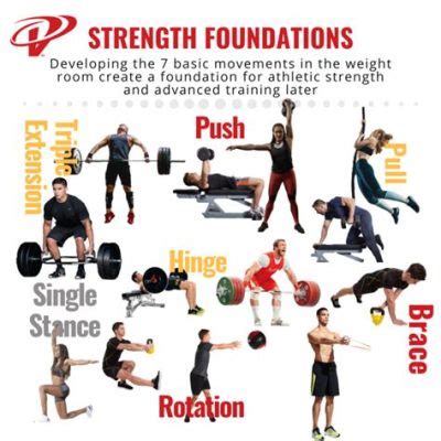 What is Power Physical Education: A Journey Through Strength and Strategy