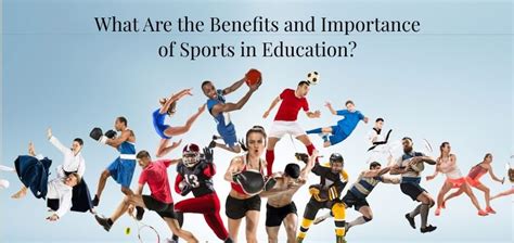 What is the Importance of Sports in Physical Education: A Dive into the Chaos of Movement and Mind